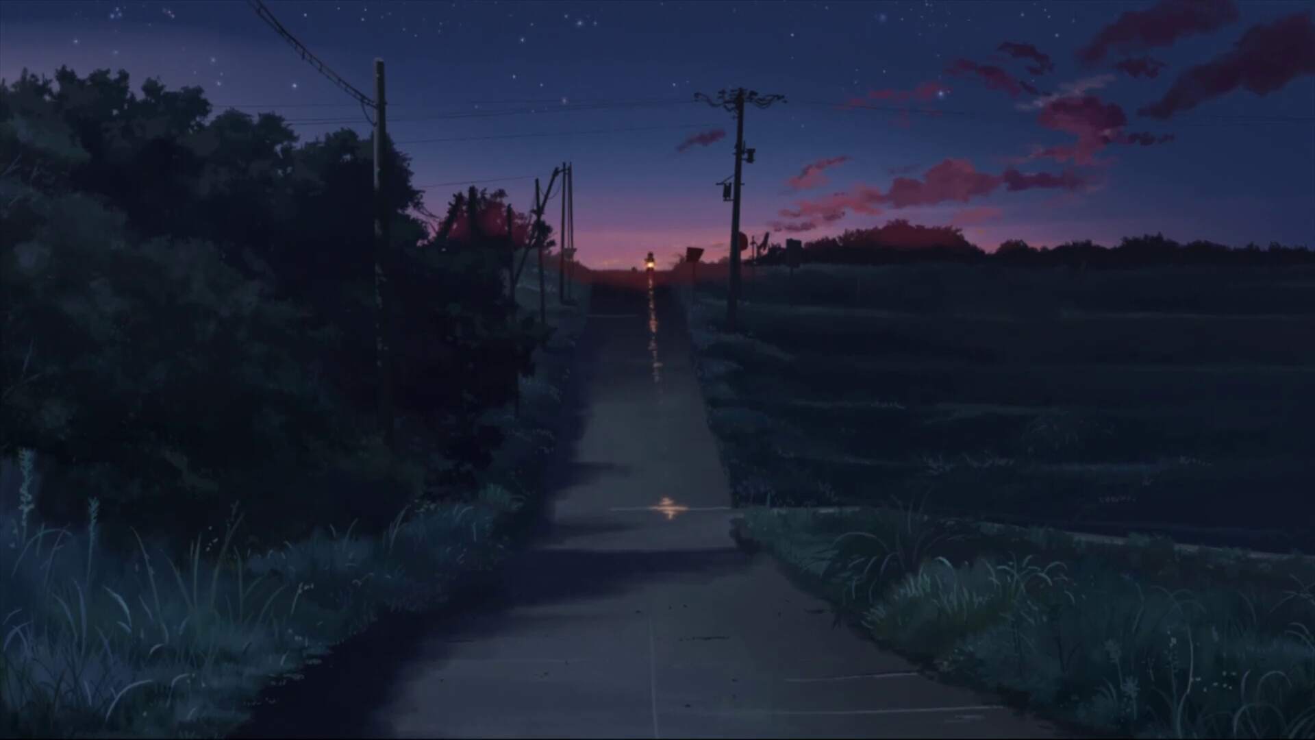A school route through sugarcane fields (Nakatanegashima, Tanegashima)